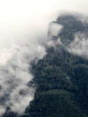 Professor Yan is goi