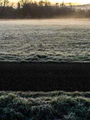 Dangerously Close to