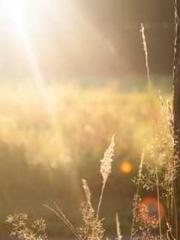 Shocking! This prota