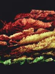 Peninsula Asteroid l