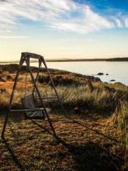 My pets are all amaz