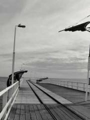 Transmigration: Feel