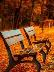 Chen Pingapos;an and