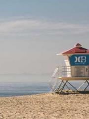 After Transmigrating