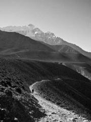 lt;Marry at first si