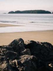 The Best Little Body