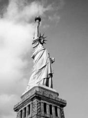 King of the Nine Pro