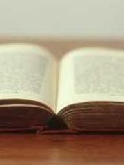 One Pregnancy, Two B