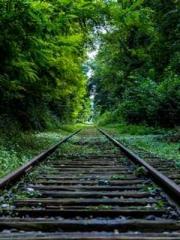 Professor Yan is goi