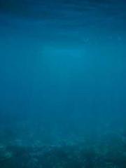 Professor Yan is goi