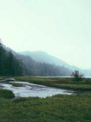 Rong Zhao, male, Nin