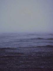 Two Treasures Arrive