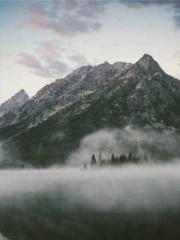 The Favorite Concubi